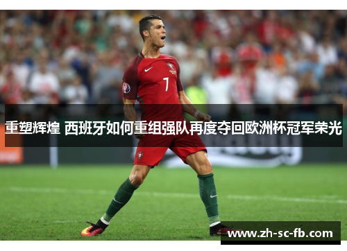 重塑辉煌 西班牙如何重组强队再度夺回欧洲杯冠军荣光 重塑辉煌 西班牙如何重组强队再度夺回欧洲杯冠军荣光