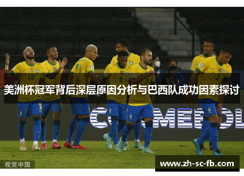 美洲杯冠军背后深层原因分析与巴西队成功因素探讨