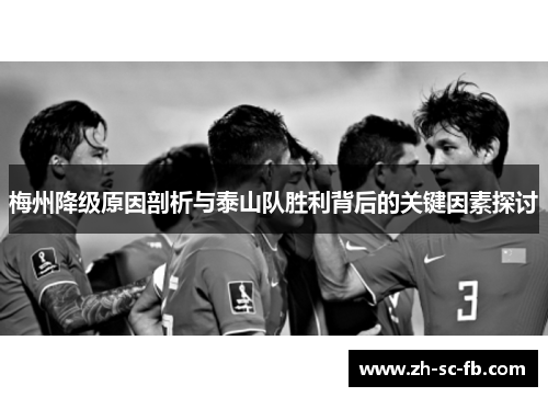 梅州降级原因剖析与泰山队胜利背后的关键因素探讨